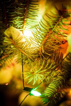 Part of christmas fir-tree under the snow outdoors with lights