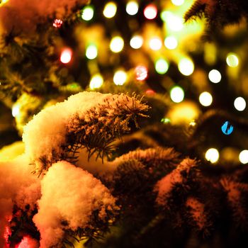 Part of christmas fir-tree under the snow outdoors with lights