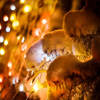 Part of christmas fir-tree under the snow outdoors with lights