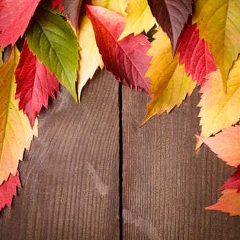 Frame from autumn leaves on the wooden background