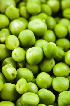 Green pea  with waterdrops scattered as a background