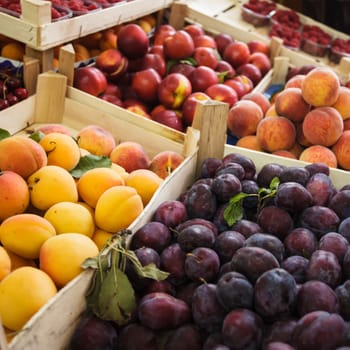 Summer fresh fruits in boxes on the market