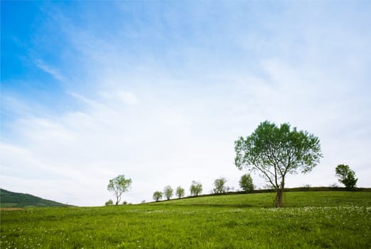 Fields and meadows in mountains and sky