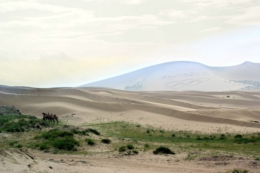 Taken in Qinghai Province, China