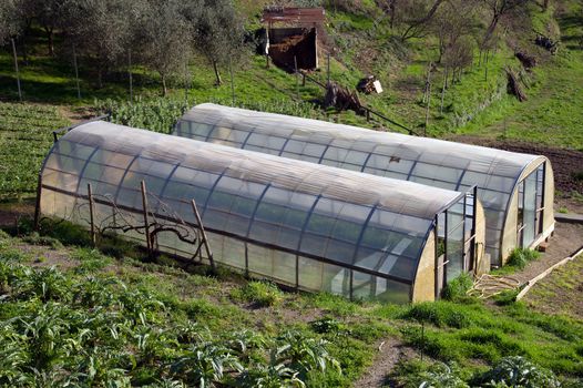 small greenhouse for growing salad