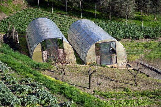 small greenhouse for growing salad