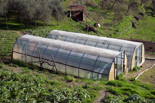 small greenhouse for growing salad