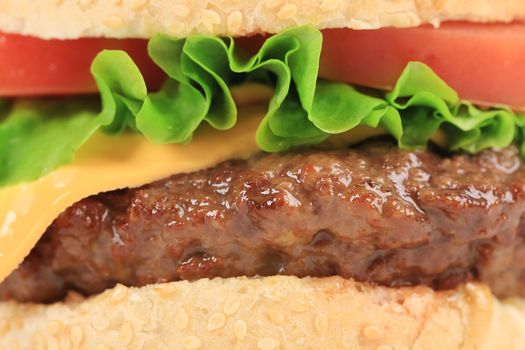 Close up of hamburger layers. Whole background.