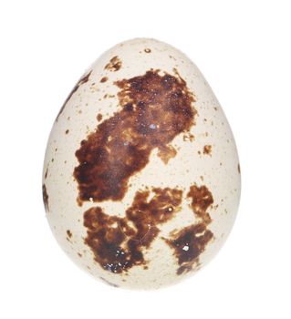 quail egg. Isolated on a white background