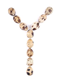 quail eggs in the form of letter Y. Isolated on a white background