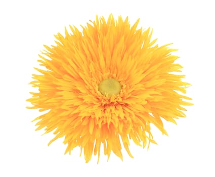 Bright yellow artificial flower. Isolated on a white background.