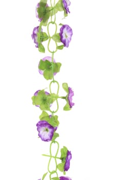 Hanging artificial flowers. On a white background.