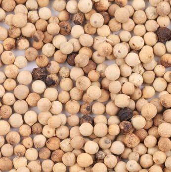White peppercorns. To be used as background.