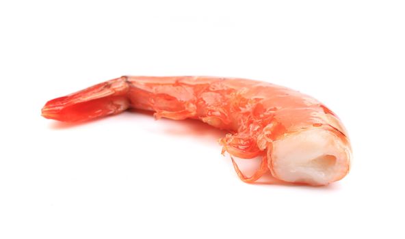 One tasty shrimp. Isolated on a white background.
