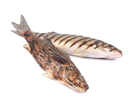 Two grilled seabass fish. Isolated on a white background.