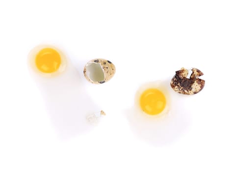 close up of raw broken quail eggs. Isolated on a white background