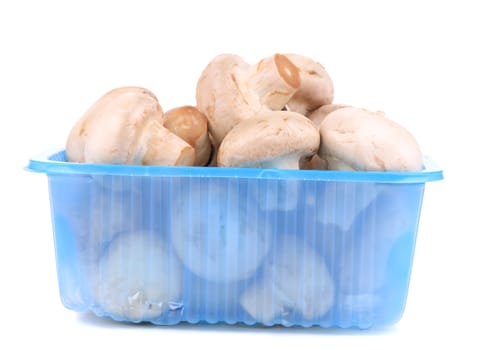 champignon mushrooms in a blue box. Isolated on a white background