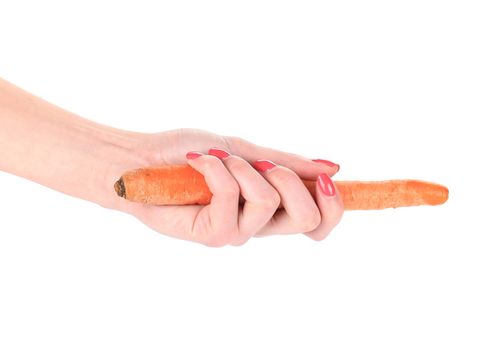 women's hand holds fresh carrot. Isolated on a white background