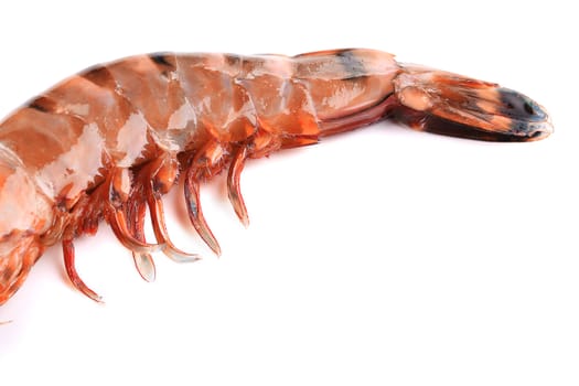 Close up of fresh shrimp. Isolated on a white background.