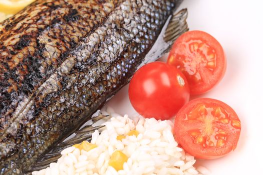 Close up of grilled seabass. Whole background.