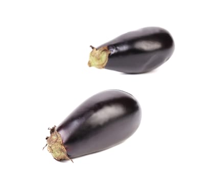 Two large eggplant. Isolated on a white background.