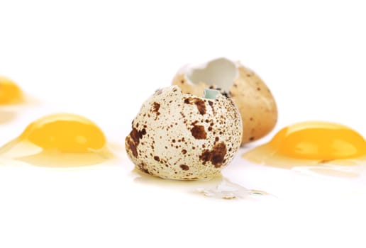 close up of raw broken quail eggs. Isolated on a white background