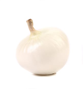 Close up of white onion. Isolated on a white background.