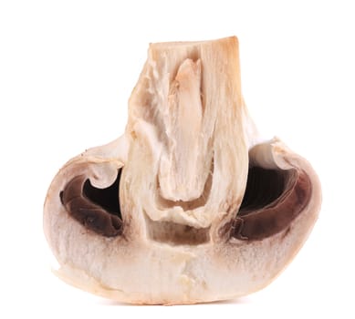 White mushroom close up. Isolated on a white background.