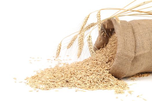 Sack with grains and ear of wheat. Isolated on a white background.