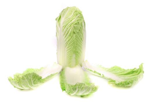 Tasty Chinese cabbage. Isolated on a white background.