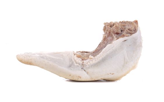 Raw cow tongue close up. Isolated on a white background.