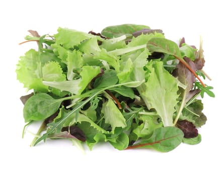Green and Red Leaf Lettuce. Isolated on a white background.