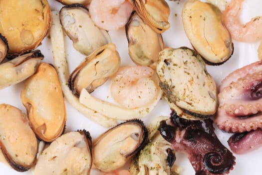 Close up of seafood products. Whole background.