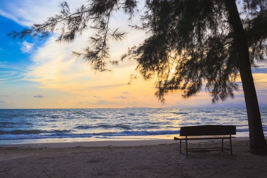 Beach Chairs under tree on beach at sunset