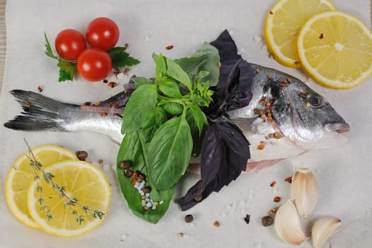 Fresh sea bream (Dorado) on paper with spices and herbs