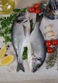 Fresh sea bream (Dorado) on paper with spices and herbs