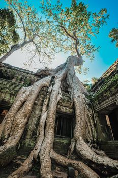 Ancient buddhist khmer temple in Angkor Wat complex, Siem Reap Cambodia Asia