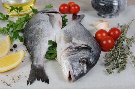 Fresh sea bream (Dorado) on paper with spices and herbs
