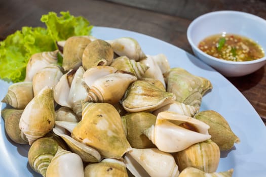seafood grill shell