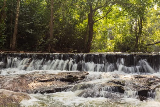 forest waterfall