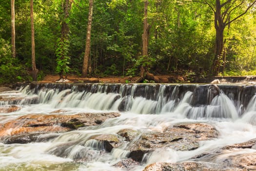 forest waterfall