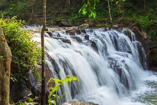 forest waterfall