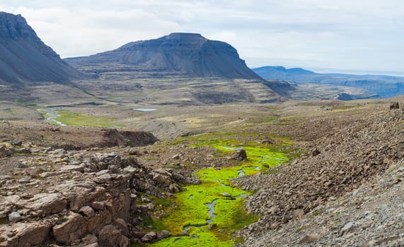 Summer Iceland Landscape with Small River Stream. Panorama