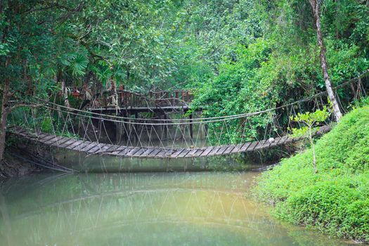 rope bridge  across river