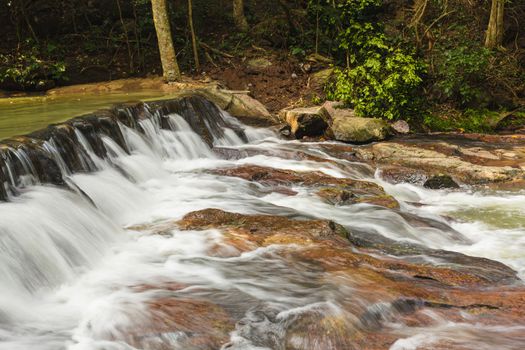 forest waterfall