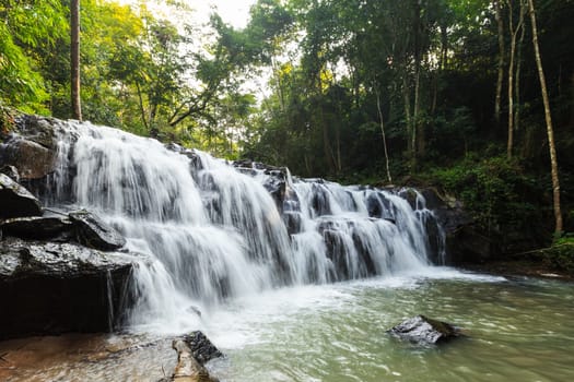 forest waterfall