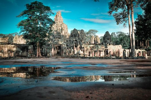 Giant tree covering Ta Prom and Angkor Wat temple, Siem Reap, Cambodia Asia