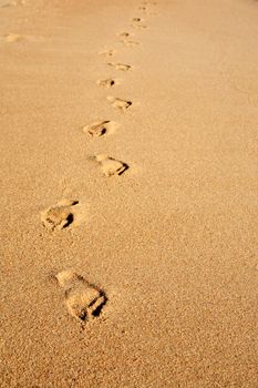 footstep on the sand of abraao beach in the beautiful island of ilha grande near rio de janeiro in brazil