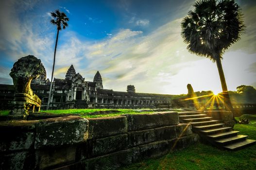 Giant tree covering Ta Prom and Angkor Wat temple, Siem Reap, Cambodia Asia