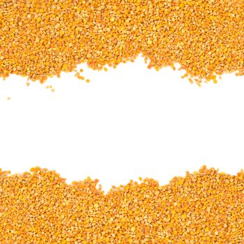 Bee pollen grains with blank space for text